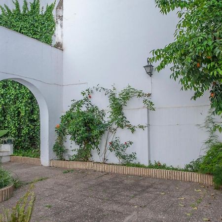 O&L Aire - Spacious And Bright Apartment In The Heart Of Seville Exterior photo